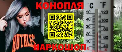 ПСИЛОЦИБИНОВЫЕ ГРИБЫ Бузулук