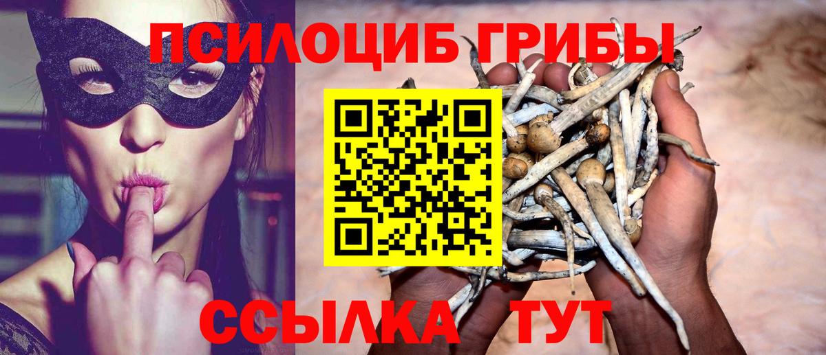 Галлюциногенные грибы GOLDEN TEACHER Луга