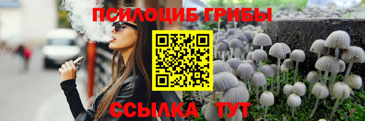 Луга  Псилоцибиновые грибы мухоморы  что такое наркотик  Вход с VPN 